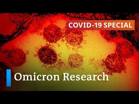 Origin, transmissibility, severity: What we know about the Omicron variant so far? | COVID19 Special