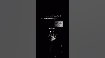 سورة المؤمنون اسلام صبحي حالات واتس