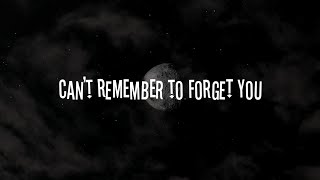 Shakira - Can't Remember To Forget You (speed up+lyrics) Resimi