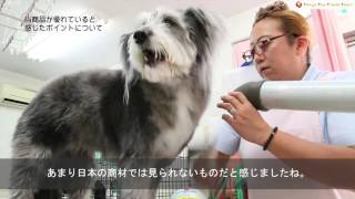 本間獣医犬用シャンプー利用インタビュー　コートハンドラー