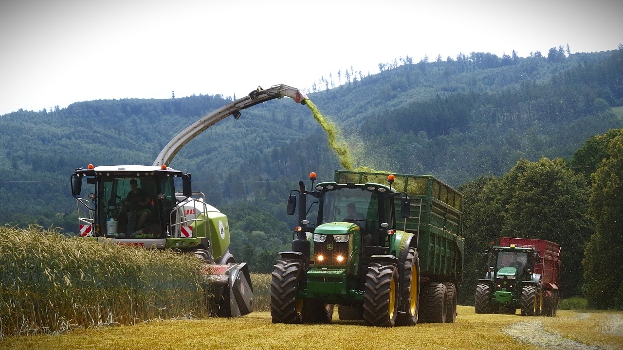 Sklizeň žita 2025 | Claas Jaguar 950 & 5x John Deere + JCB 437S / HD