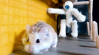 Major Hamster PRISON ESCAPE  Amazing hamster escapes MAZE with TRAPS stories #hamster #maze #escape