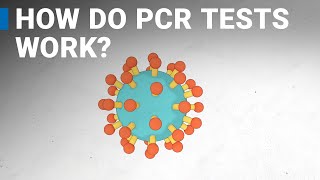 How do COVID-19 tests work? RT-PCR explained.