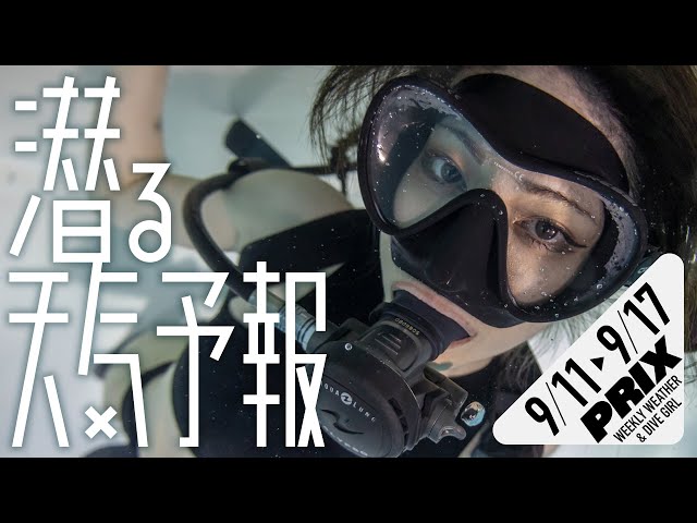 撮影録画も出来る スキューバ ダイビングマスク Amazon | カメラホルダー付きフルフェイススキューバダイビング