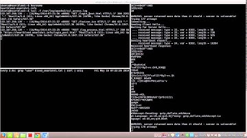 heartbleed attack demonstration. Login password extraction