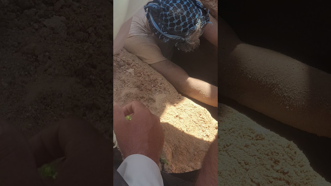 تلقين احد المؤمنين عن الدفن