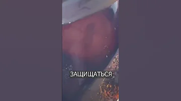Женщина нашла яйца АКУЛЫ и все в ШОКЕ
