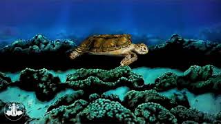 Yazılım, Program Ve Donanım Ürünleri