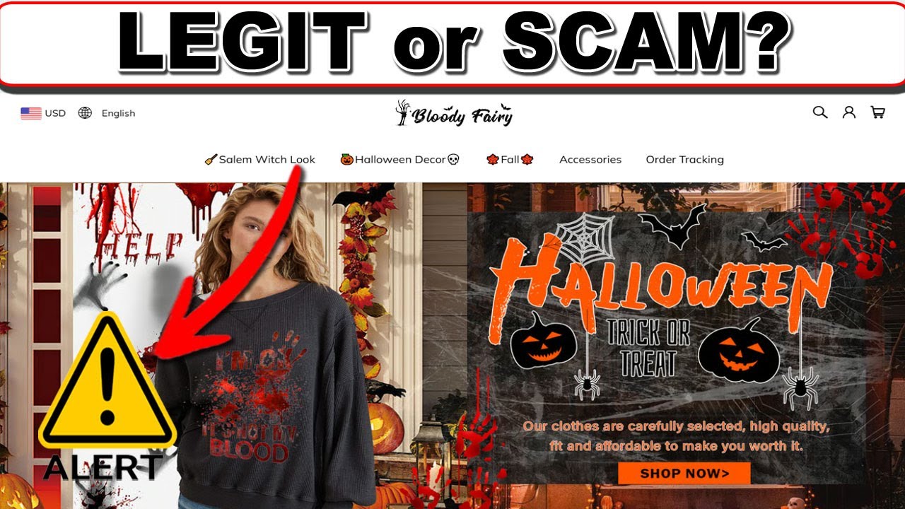 Bloody Fairy Clothing Review: Legit Aesthetic Fashion or Total SCAM? 😱