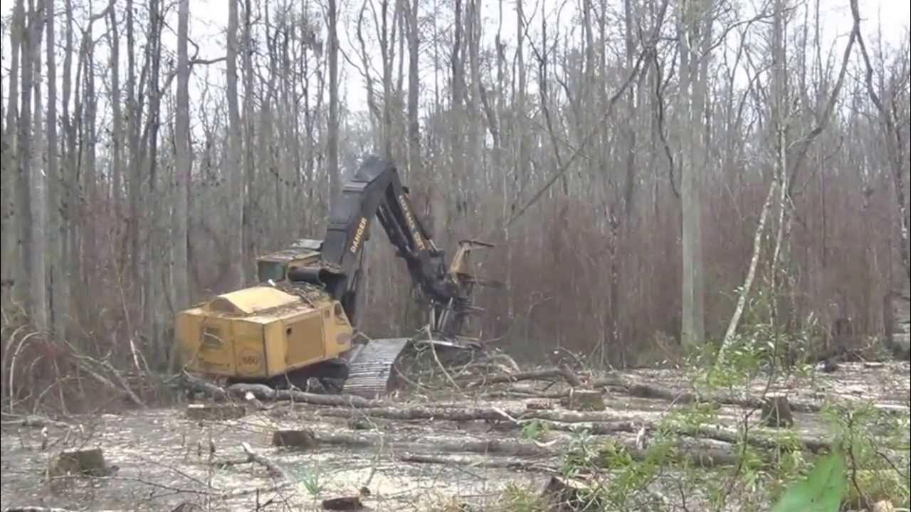 Swamp Logger Country Boy Logging YouTube