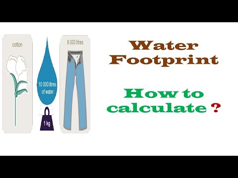How Calculate Water Footprint