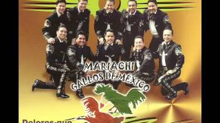 Video voorbeeld van "MARIACHI GALLOS DE MEXICO (A MI MANERA) AUDIO"