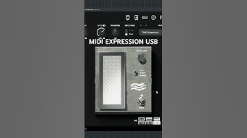 Control the Whammy Pedal | Archetype Gojira #metal #vstplugins #flstudio #neuraldsp
