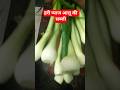 ⭐हरी प्याज की#recipe #food #cooking #shortvideos