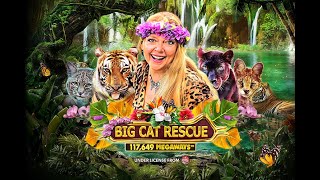Carole Baskin Interview Big Cat Rescue MegaWays™- Red Tiger