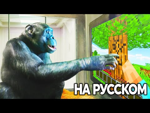 Видео: Я Научил ОБЕЗЬЯНУ Играть в МАЙНКРАФТ| ChrisDaCow на Русском