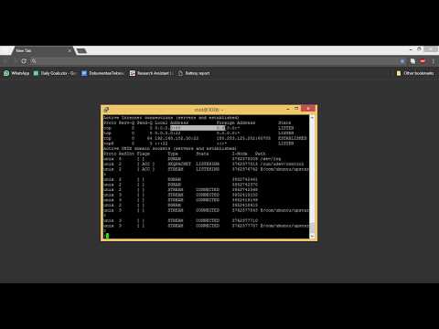 Setup Free HTTPS Web using Ngrok Localhost Tunneling on Ubuntu