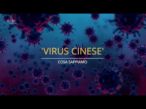 Virus cinese, sintomi e diffusione: cosa sappiamo Virus cinese, sintomi e diffusione: cosa sappiamo