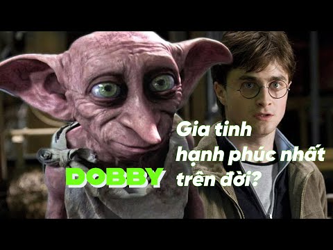 Gia Tinh Harry Potter - Harry Potter và Bảo bối Tử thần | Dobby - Gia tinh hạnh phúc nhất trên đời