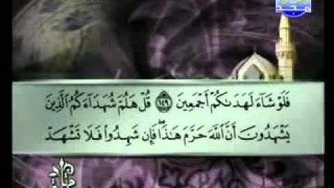 سورة الانعام الشيخ توفيق الصائغ Al-Anam4/4