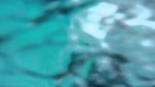 gopro pool jump