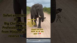 Happy new year #2024 #big5 #evenetmakukule #animals #wildlifewatch