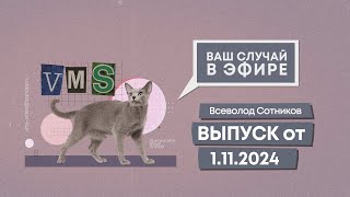 :    .   1.11.2024