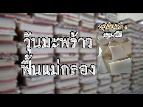 พรุ่งนี้ยังมีน้ำ ตอน 45 วุ้นมะพร้าว