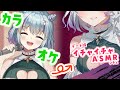 【 カラオケ / 後半のASMRは概要欄から 】カラオケで盛り上がった後は、イルラとイチャイチャするんですよね？【 イルラ・ルミエール / VTuber 】