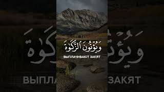 Чтец: Мухаммад Аль-Люхайдан Сура 31 Лукман аяты 2-5 Красивое чтение Корана!