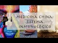 Sistema Inmune 💪 y Acupuntura ( Inmunomodulación en la Medicina Tradicional China)