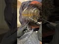 50代白髪ぼかしてみました♪