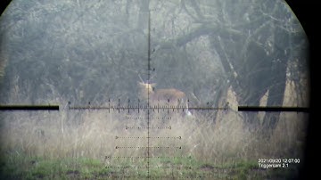 Hunting South Africa~impala kill shot_memories by Triggercam 2.1