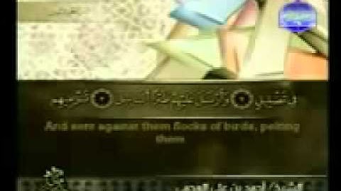 105.سورة الفيل للقارئ الشيخ احمد بن علي العجمي