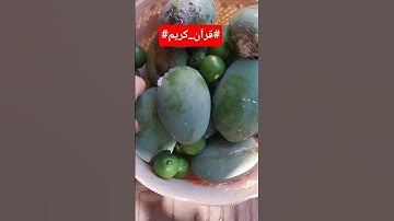 #قرآن_كريم#سورة المائدة_ بصوت الشيخ_ياسر الدوسرى#اكسبلور #لايك #