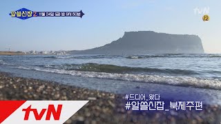 Encyclopedia of Useless Facts 2 수다여행 in 북제주! 제주의 모든 잡학을 파헤친다☆ 171124 EP.5