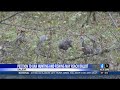 Petition to Ban Hunting and Fishing May Reach Ballot