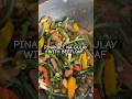 PINAKBET NA GULAY WITH BEEFLOAF #gulay #vegetables #lutongbahay #lutongpinoy #foodshorts #fypシ゚