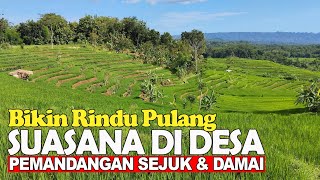 INDAH SEKALI!! MENIKMATI SUASANA DI DESA BIKIN RINDU PULANG! INDAHNYA ALAM PEDESAAN DI KEBUMEN