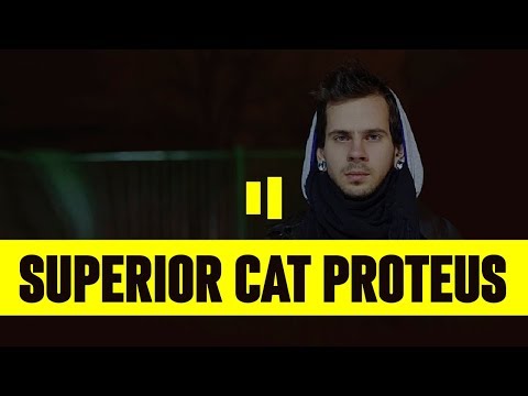 КТО ТАКОЙ SUPERIOR CAT PROTEUS