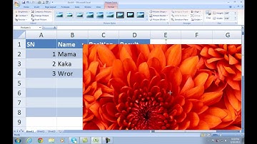Excel 2007 in Pashto Part 5   Insert Menu