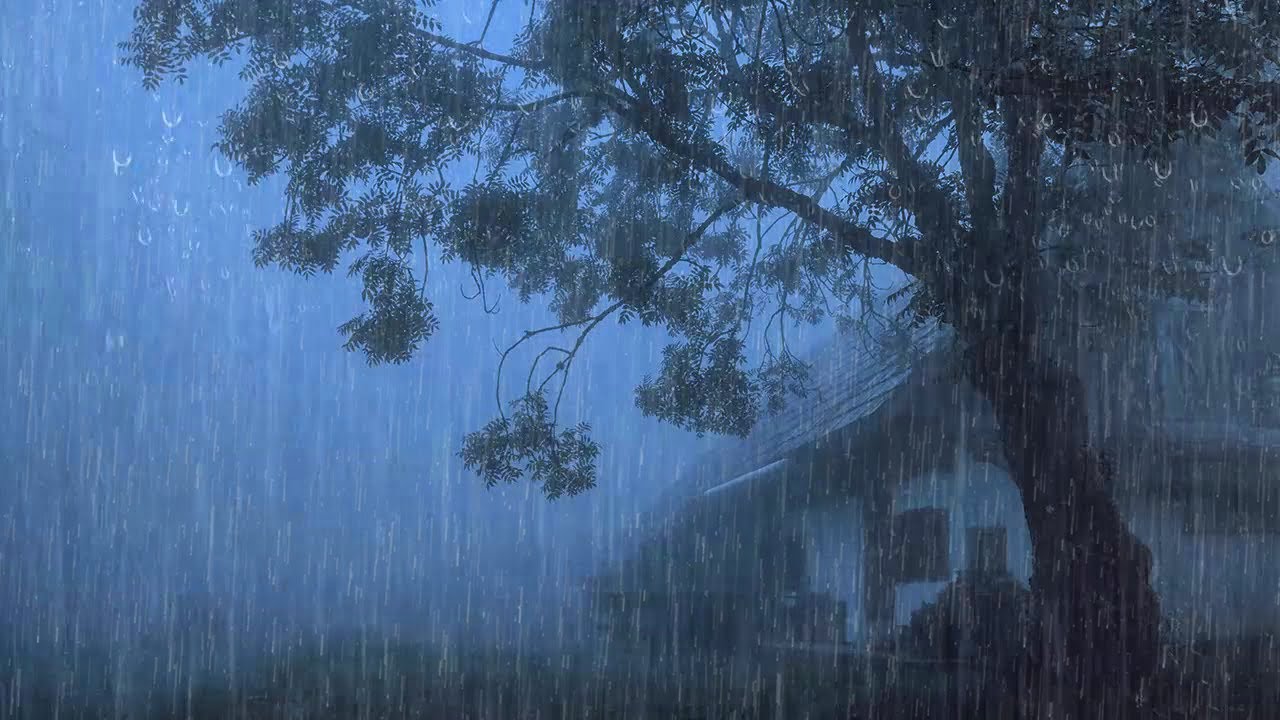 Sonido de Lluvia Para Dormir y Calma la mente 🌧 Ruido de Lluvia Para un ...