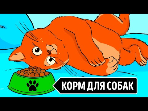 Вопрос: Не вредно ли для кошки есть только покупной корм?