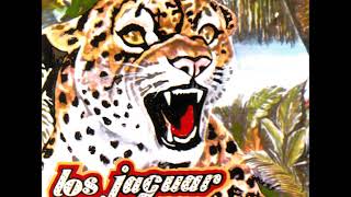 Video voorbeeld van "Los Jaguar...Sin Una Ilusion..."