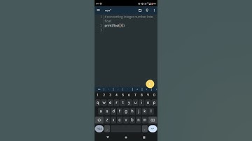 python - int to float conversion