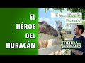 Él Es Ricardo, El Hombre Que Refugió A Más De 300 Animales Del Huracán Delta | Tierra De Animales