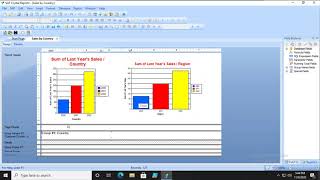 Crystal Reports 2020   Creating a Top N Chart