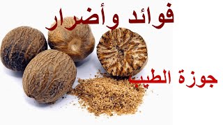 أهم فوائد جوزة الطيب أو الكوزة على الصحة والبشرة والشعر وأضرارها Nutmeg