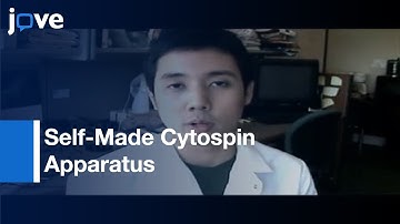 Immunocytochemical Analysis Of Human Pluripotent Stem Cells l Protocol Preview