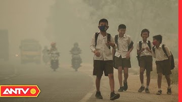 Thực hư SỐC về những chiếc máy lọc không khí nhiều người đã và đang sử dụng | Điều tra | ANTV